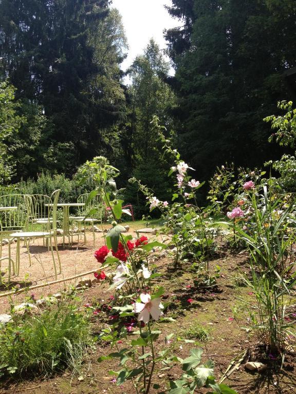 Hotel Am Bach Hinterzarten Extérieur photo