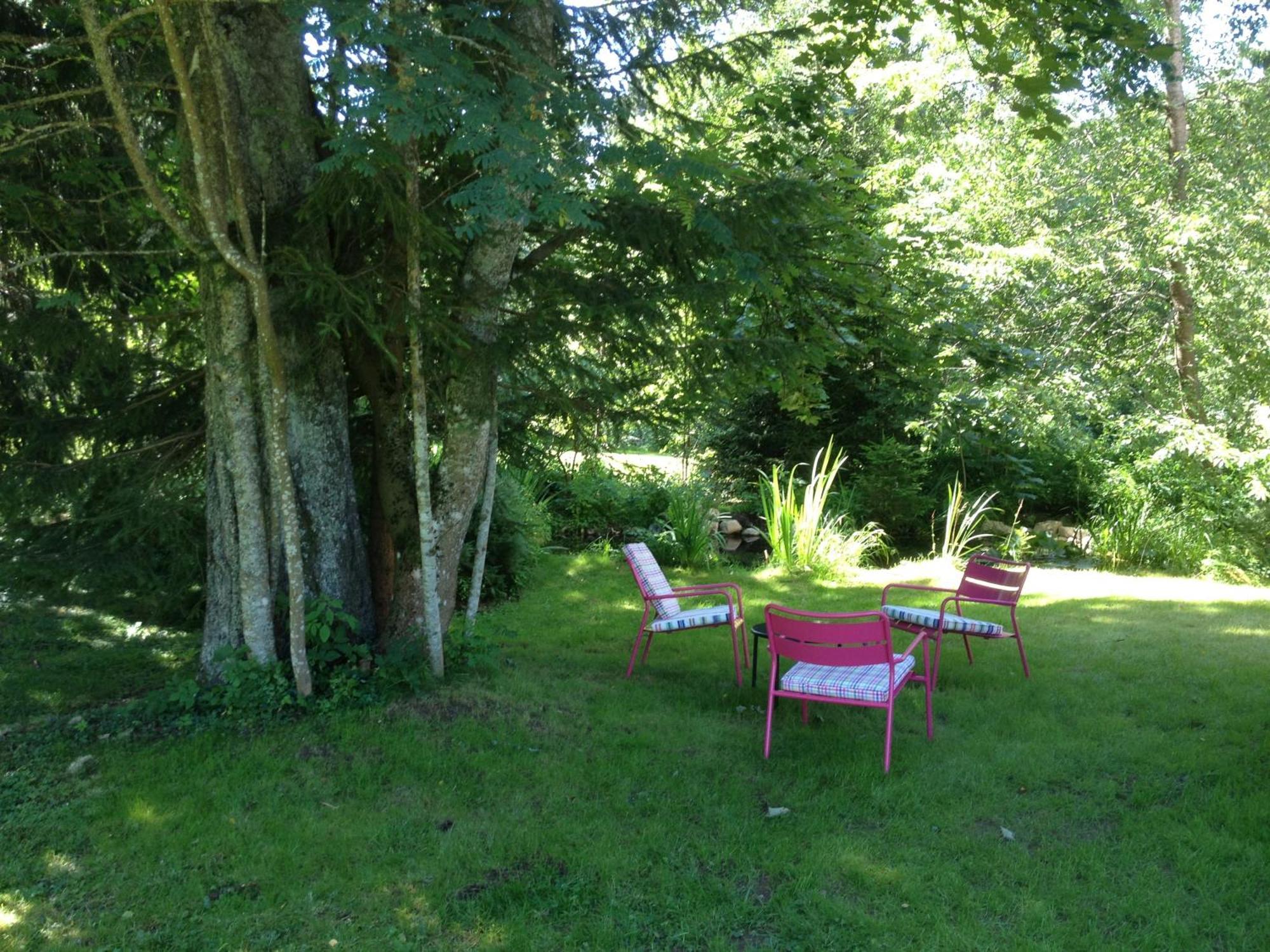 Hotel Am Bach Hinterzarten Extérieur photo
